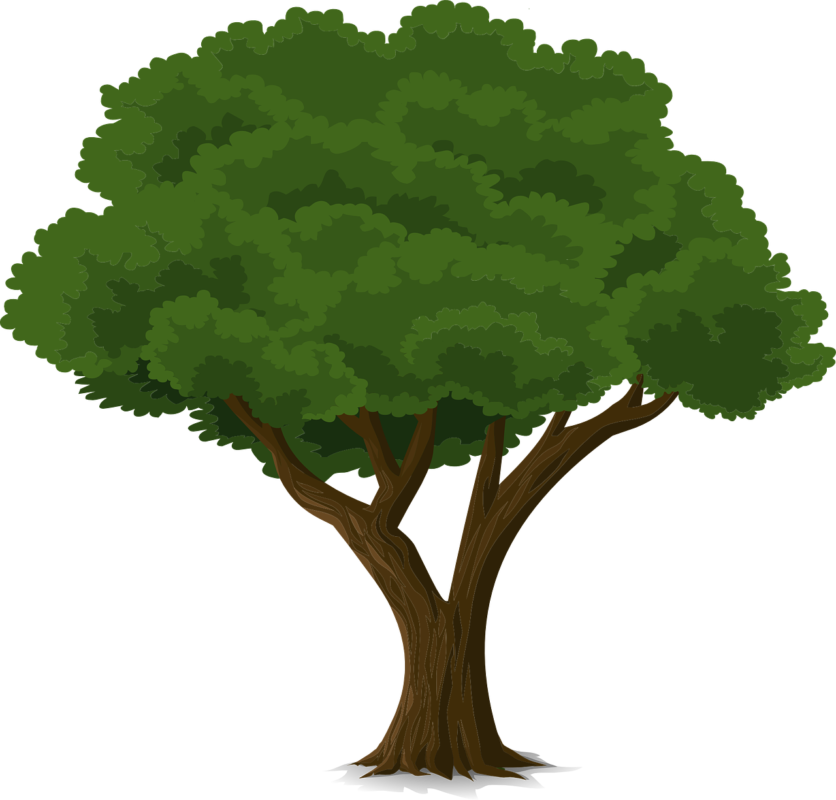 tree.png